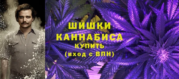 СК Липки