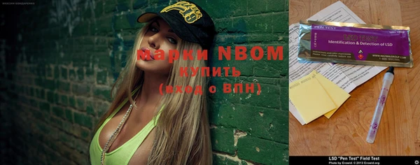 молекула духа Лихославль