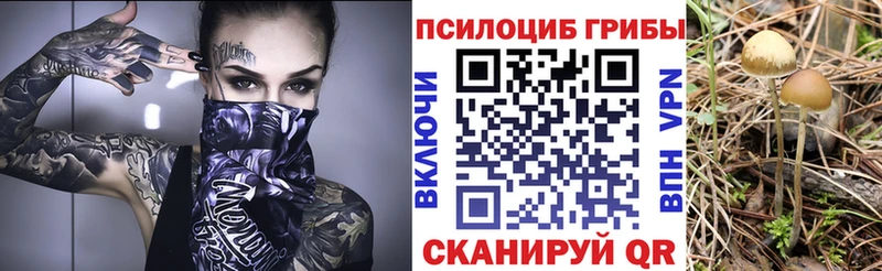 Галлюциногенные грибы ЛСД  Давлеканово 